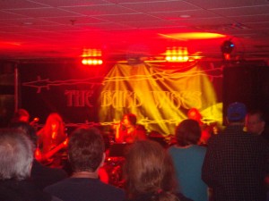redds-liveband-red